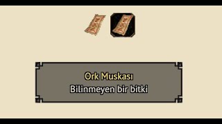 Metin2 Ork Muskası ve Ork Muskası Nereden Çıkar Hangi Slotlardan Düşer Metin2 [upl. by Yraeht491]