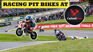 Racing A Pit Bike At Cadwell Park   The British Supermoto Championship  pitbikesupermoto [upl. by Trelu772]