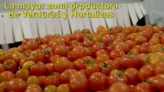 Don Simón  Gazpachos y Salmorejo  Planta de Almería [upl. by Odlaniger]