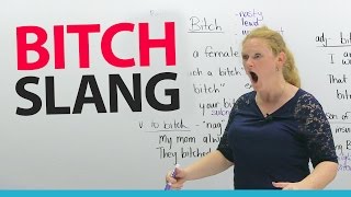 Learn English Slang BITCH [upl. by Olpe]