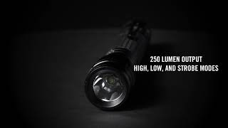 LUXPRO LP290 2AA LED Flashlight [upl. by Octave737]