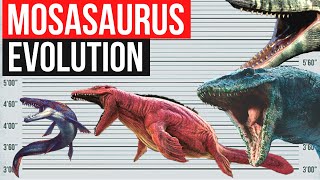 Mosasaurus Evolution 1970  2022  Jurassic Evolution Jurassic World Dominion [upl. by Aicnilav]