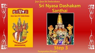 003  Nyasa Dashakam Santhai  Step 3  SMeP [upl. by Eityak]