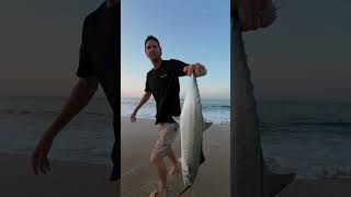 Last Week Surf Fishing In Cabo fishingvideos sportfishing roosterfish cabo surffishing [upl. by Christel432]