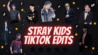 SKZ TIKTOK EDITS THAT WILL MAKE YOU A PROUD STAY 50 MIN EDITION 10K SPECIAL [upl. by Mcclary]