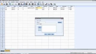 How to Use SPSSOpening the Program amp Creating a Data File [upl. by Stelle]