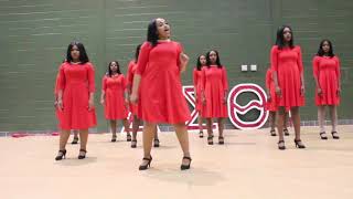 DELTA SIGMA THETA PROBATE 2018 [upl. by Akiehs352]