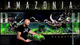 BUILDING quotAMAZONIAquot PT3 8ft AQUARIUM PLANTING TUTORIAL [upl. by Aynik119]