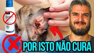 CACHORRO C DOR DE OUVIDO E OTITE PRECISA DE REMÉDIO CERTO E DA FORMA CERTA EPIOTIC P OUVIDO DE CÃO [upl. by Drusus455]