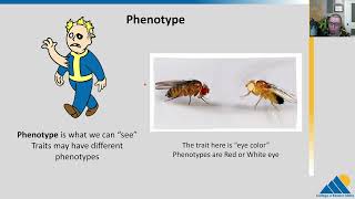 BIOL201 Ch122  Phenotype and Genotype Part 1 [upl. by Hubert]