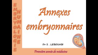 les annexes embryonnaire [upl. by Airetnuhs]