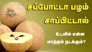 Sapota Fruit Health Benefits  Chikoo Fruit  Tamil Health Tips [upl. by Albright25]