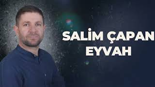 Salim Çapan  Eyvah  Yeni 2024 [upl. by Gregorius]