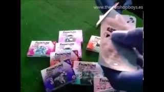 Frontline Tri Act pipetas para perros unboxing [upl. by Lechner]