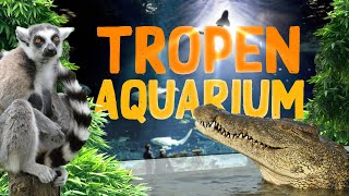 TropenAquarium Hagenbeck Hamburg  Zoo Eindruck [upl. by Fannie794]