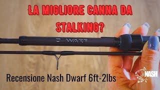 RECENSIONE NASH DWARF SHRINK 6ft 2lbs [upl. by Ihsir]