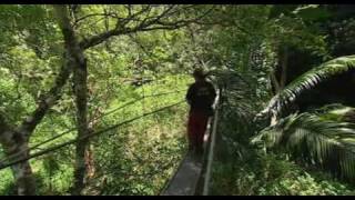 Im celebrity get me out of here 2009 E12 P3 [upl. by O'Meara]