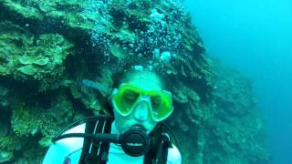 Montego Bay Scuba Dive 3 of 6  Active panic in open water diver [upl. by Tyoh]