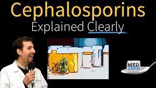 Cephalosporins  Antibiotics Explained Clearly [upl. by Koehler]