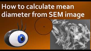 Calculating nanoparticle diameter from SEM images [upl. by Sillsby]