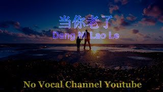 Dang Ni Lao Le  当你老了  Male Karaoke Mandarin  No Vocal [upl. by Eednus508]