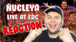 Reaction Vid Nucleya Live at EDC Vegas 2017 [upl. by Nabila]