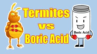 Does Boric Acid Really Kill Termites This is what you need to know [upl. by Suhpesoj299]