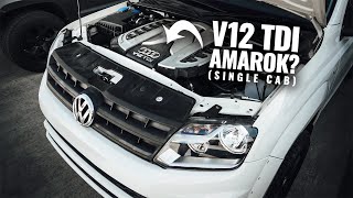 Should we V12 TDI swap our NEW Single Cab Amarok Project [upl. by Ivey]