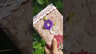 Diy handmade diary viralvideo shorts raisasdiary diy handmade [upl. by Ardnoyek]