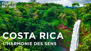 Costa Rica  Le joyau vert de lAmérique Centrale  Biodiversité  Documentaire voyage  AMP [upl. by Lexerd657]