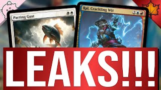 Bloomburrow Leaks Already  Ral Crackling Wit  MTG [upl. by Nitas531]