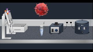 Coronavirus Test Real time RTPCR  Animation video [upl. by Julieta]