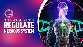 Feel Immediately Better Regulate Nervous System  Vagus Nerve Stimulation Music  Sound Therapy [upl. by Bik]