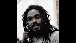 Roots Rock Reggae  Official Music Video Jack Miller Rebellion feat members of the Wailers [upl. by Couhp]