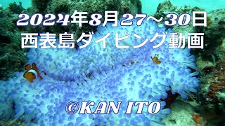 2024年8月27～30日 西表島 ダイビング動画まとめ [upl. by Karr]