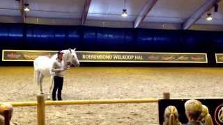 Clinic Frederic Pignon  Horse Event Deurne [upl. by Roderica]