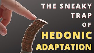 Hedonic Adaptation  How it affects your Personal Finance [upl. by Eyla]