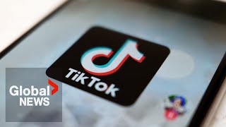 TikTok Can the US really ban the app [upl. by Geilich859]