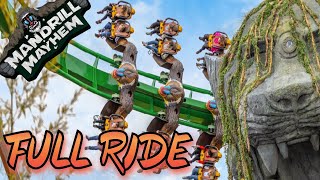 Mandrill Mayhem POV Chessington World Of Adventures BACK ROW [upl. by Newmann]