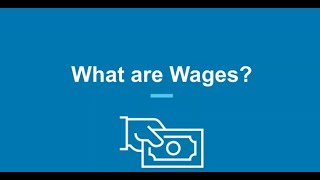 Minimum Wage  What are Wages [upl. by Qulllon]