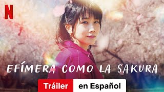 Efímera como la sakura  Tráiler en Español  Netflix [upl. by Linus]