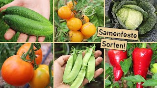 Die besten samenfesten Sorten für deinen Gemüsegarten 🍅🌱🌾 Meine Empfehlungen 🤫👍 Sortentipps 2023 😍 [upl. by Anerol173]