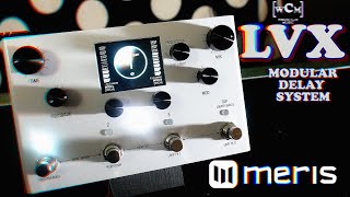 The LVX Delay Pedal Meriss Modular Delay  Working Class Music [upl. by Asaret]