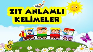 1 SINIF TÜRKÇE  ZIT ANLAMLI KELİMELER KONU ANLATIMI [upl. by Anerev99]