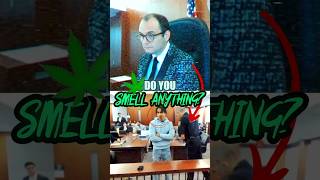 🥦Judge Asks Are You High Right Now  Judge Fleischer [upl. by Aslam]