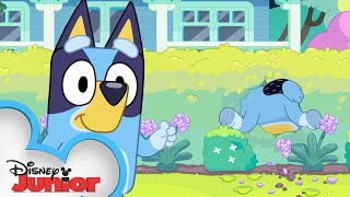 Bluey Season 3 Episode 39 quotExercisequot Episode Clip  disneyjr x BlueyOfficialChannel [upl. by Dyoll]