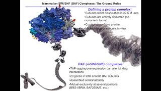 Structure and Function of Epigentic Regulators in Human Disease [upl. by Chery161]