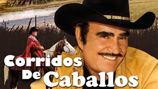 VICENTE FERNÁNDEZ SUS MEJORES ÉXITOS  VICENTE FERNANDEZ CORRIDOS DE CABALLOS MIX LO MEJOR DEL AYER [upl. by Fasto]