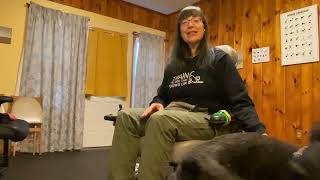 Dog Training from a Wheelchair  Safety Tip Go Settle [upl. by Narcho]