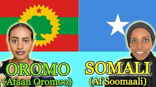 Similarities Between Somali and Oromo [upl. by Aicillyhp]